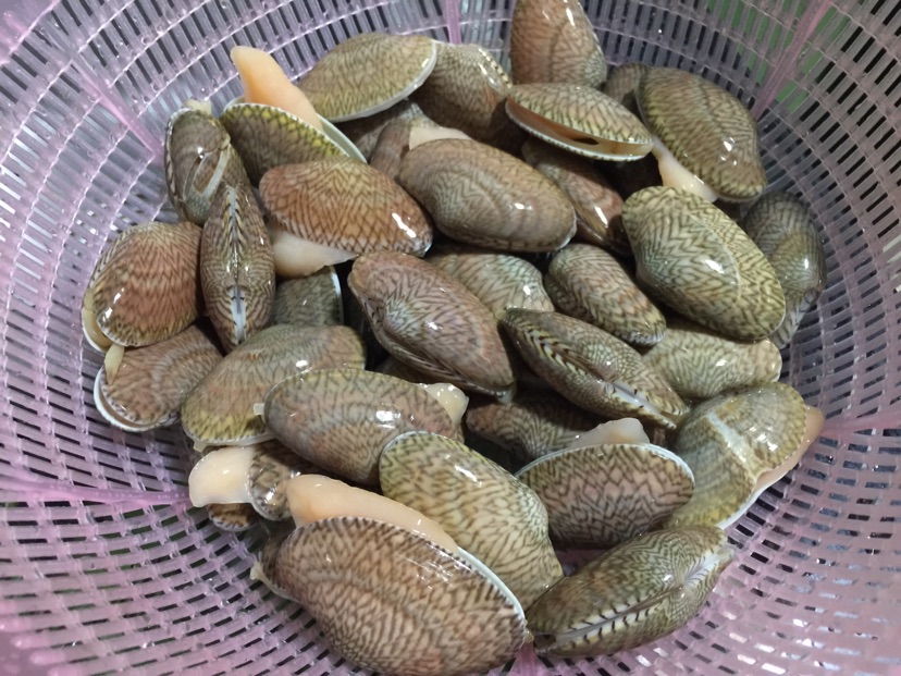 紫苏豉椒炒花甲的做法图解1
