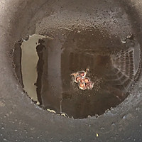 包菜炒蛋的做法图解6