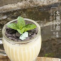 酸奶盆栽#易极优DIY酸奶#的做法图解13
