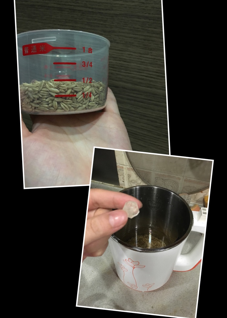 水果燕麦粥的做法图解1
