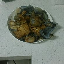 海参斑鱼