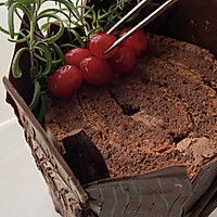 #金龙鱼精英100%烘焙大师赛-爱好组低筋#圣诞树根蛋糕的做法图解23