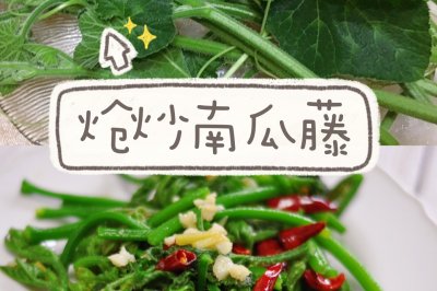 炝炒南瓜藤