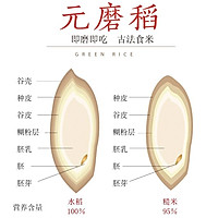 #春季减肥，边吃边瘦#
糙米八宝粥的做法图解10