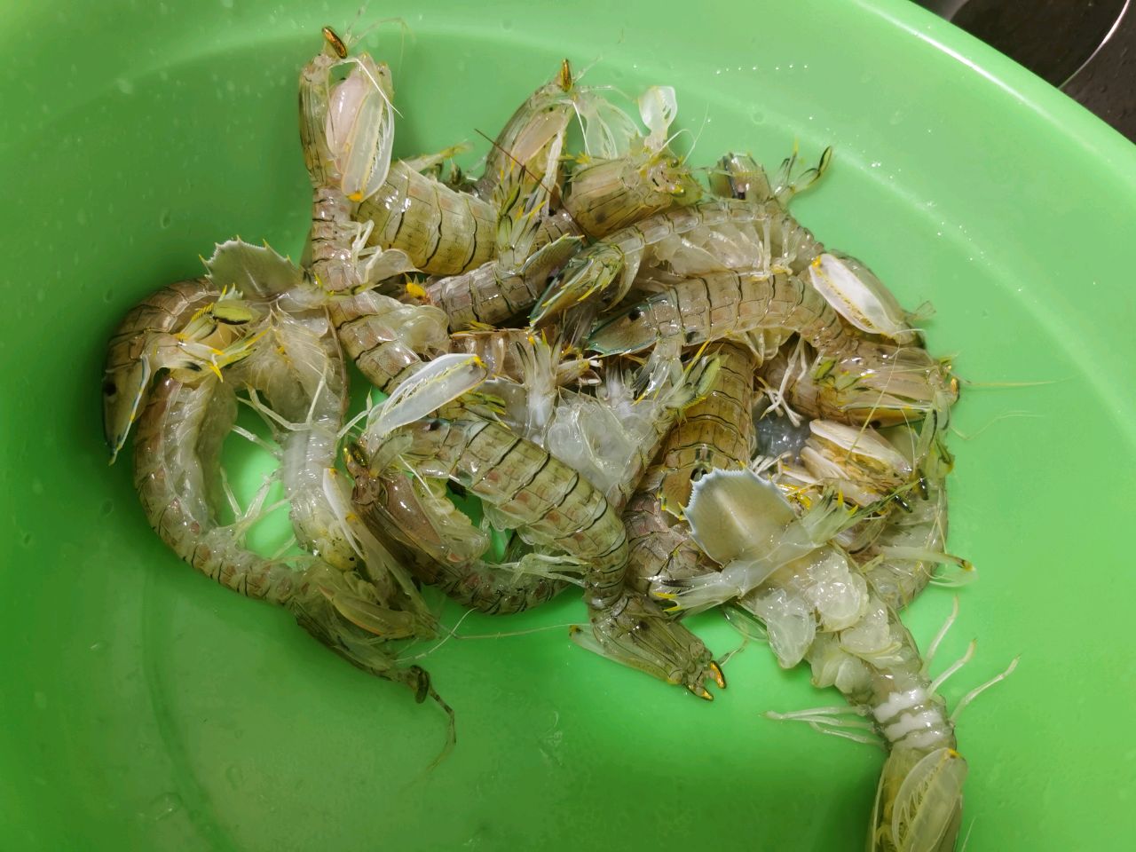 椒盐拉尿虾怎么做_椒盐拉尿虾的做法_豆果美食