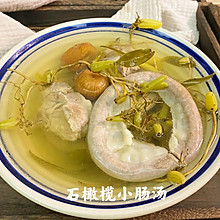 石橄榄小肠汤