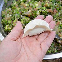 #龙年好运来 乐享豪吉味#鲜味十足的猪肉虾仁韭菜饺子的做法图解8
