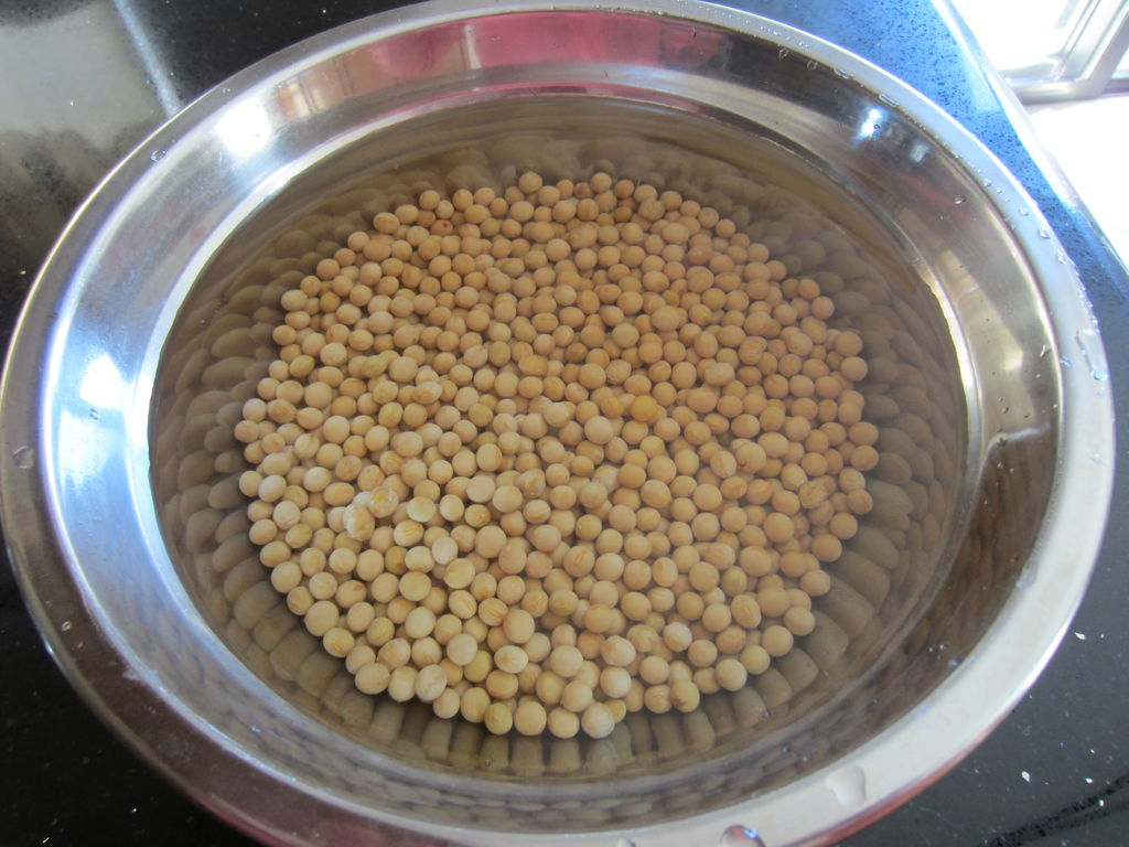 黄豆怎样快速发酵成肥料，黄豆粉发酵做肥料步骤|admin_人人点