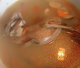 清炖鸽子汤的做法