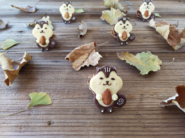 【萌宠系列】松鼠饼干