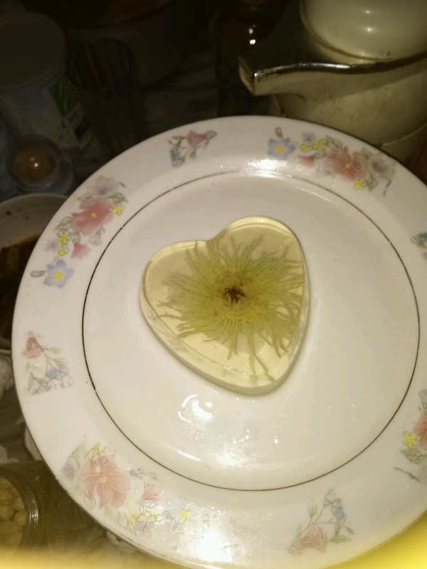 菊花水信玄饼