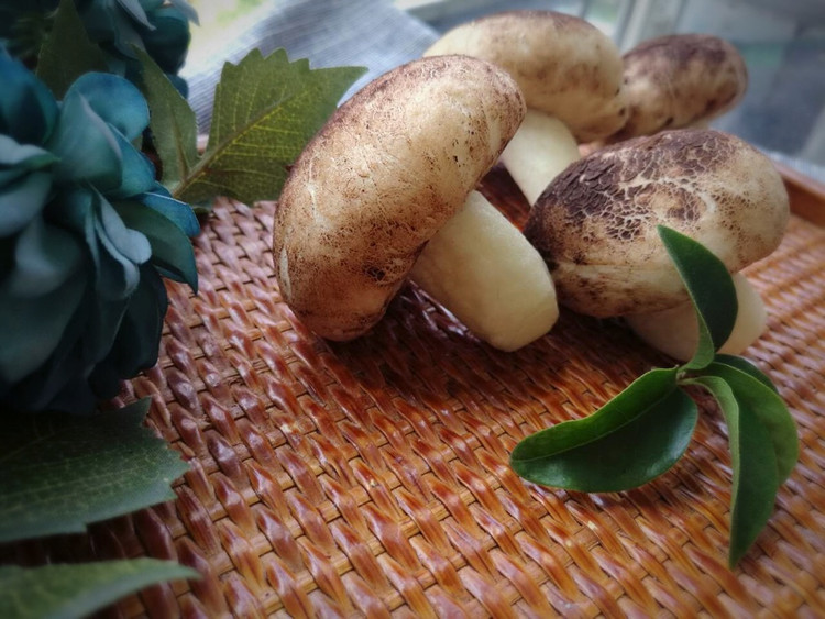 蘑菇豆沙馒头-以假乱真的萌食小点的做法