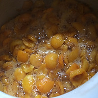 枇杷膏的做法图解2