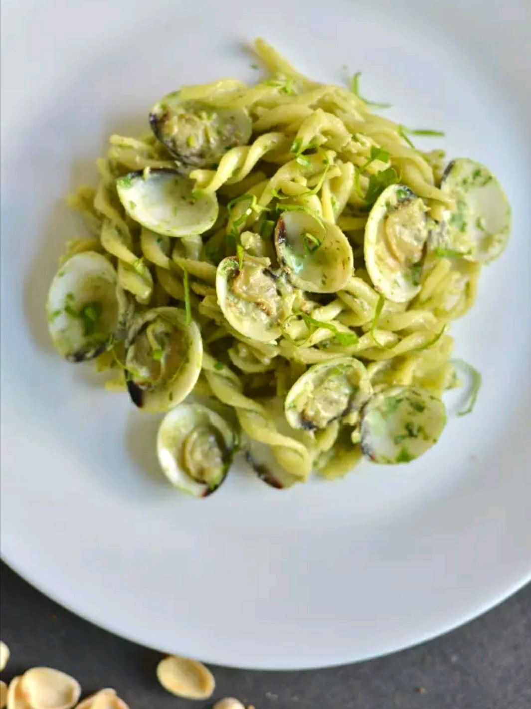 Pistachio sauce with clam pasta