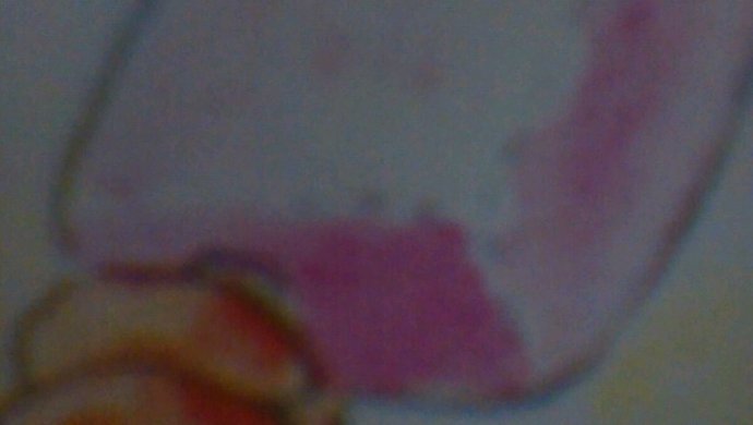 草莓冰棒 (可用其它水果或果酱)