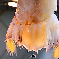 盐焗皮皮虾的做法图解3
