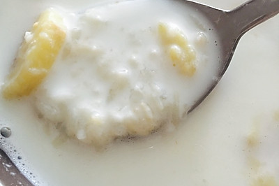 营养健康减肥早餐—香蕉燕麦米酒奶