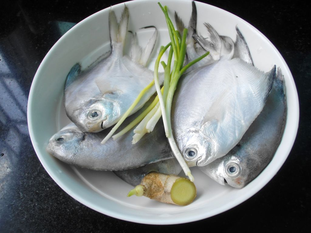 香煎金鲳鱼怎么做_香煎金鲳鱼的做法_豆果美食
