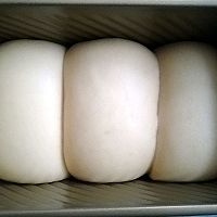 超软奶香浓郁北海道中种吐司的做法图解16