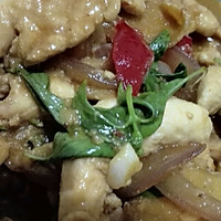 九层塔【荆芥】泰式炒鸡肉的做法图解10