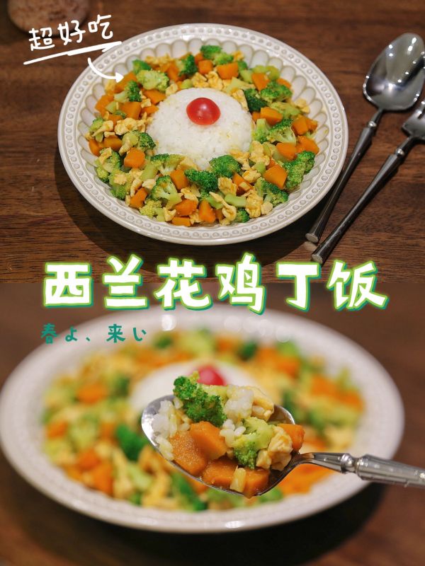 简单易做，营养美味的西兰花鸡丁饭