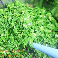 荠菜猪肉饺子——话唠教你包饺子不挤菜汁的做法图解5