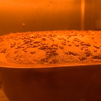 不用泡打粉也能做出暄软蓬松的红枣核桃糕的做法图解15