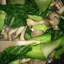 平菇青菜