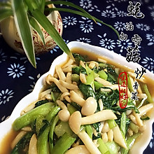蚝油白雪菇炒青菜