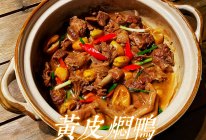 #美味开学季#黄皮焖鸭(广东味道)的做法