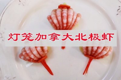 灯笼加拿大北极虾