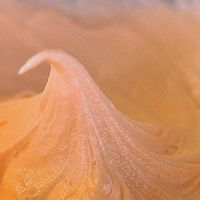 【初味日记】520告白，粉心磅蛋糕的做法图解4