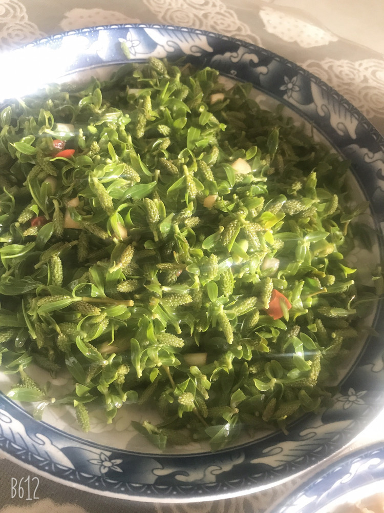 凉拌柳芽的做法