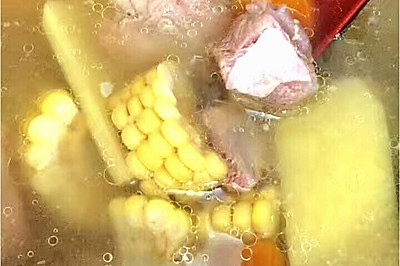 秋季养生汤-慢炖肉排配佛手玉米胡萝卜