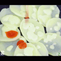 土豆芝士披萨 宝宝辅食食谱的做法图解8