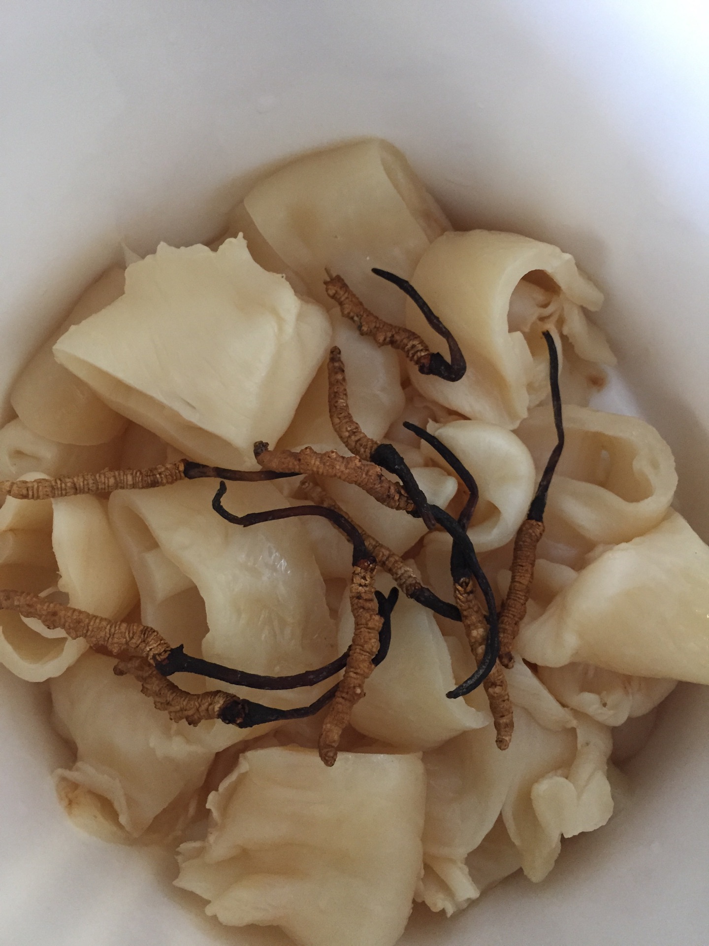 姬松茸牛肝菌石斛螺片炖瘦肉汤 - 知乎
