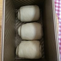 中种北海道奶香土司——拉丝的享受的做法图解13