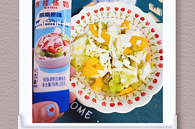 【雀巢】酷夏美滋滋炼乳芒果酸黄瓜蔬菜沙拉