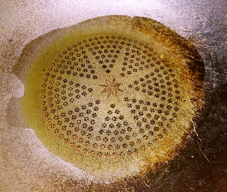 椒盐玉米粒脆饼的做法图解5