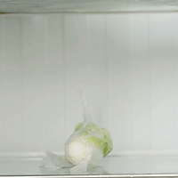 如何保存新鲜蔬菜的做法图解5