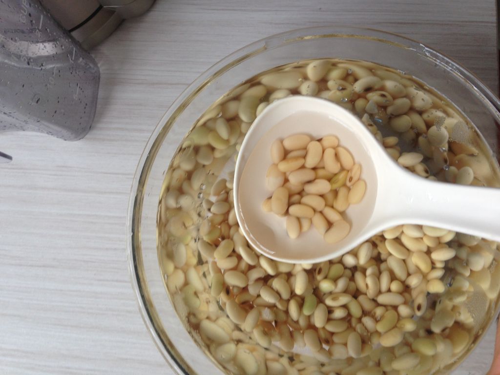 Types, benefits and nutrition of soybeans