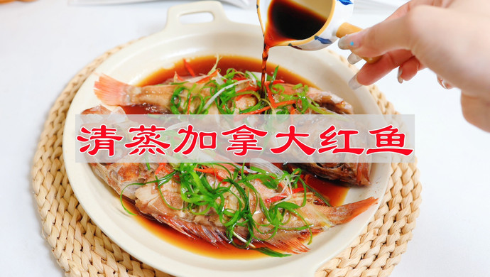 清蒸加拿大红鱼