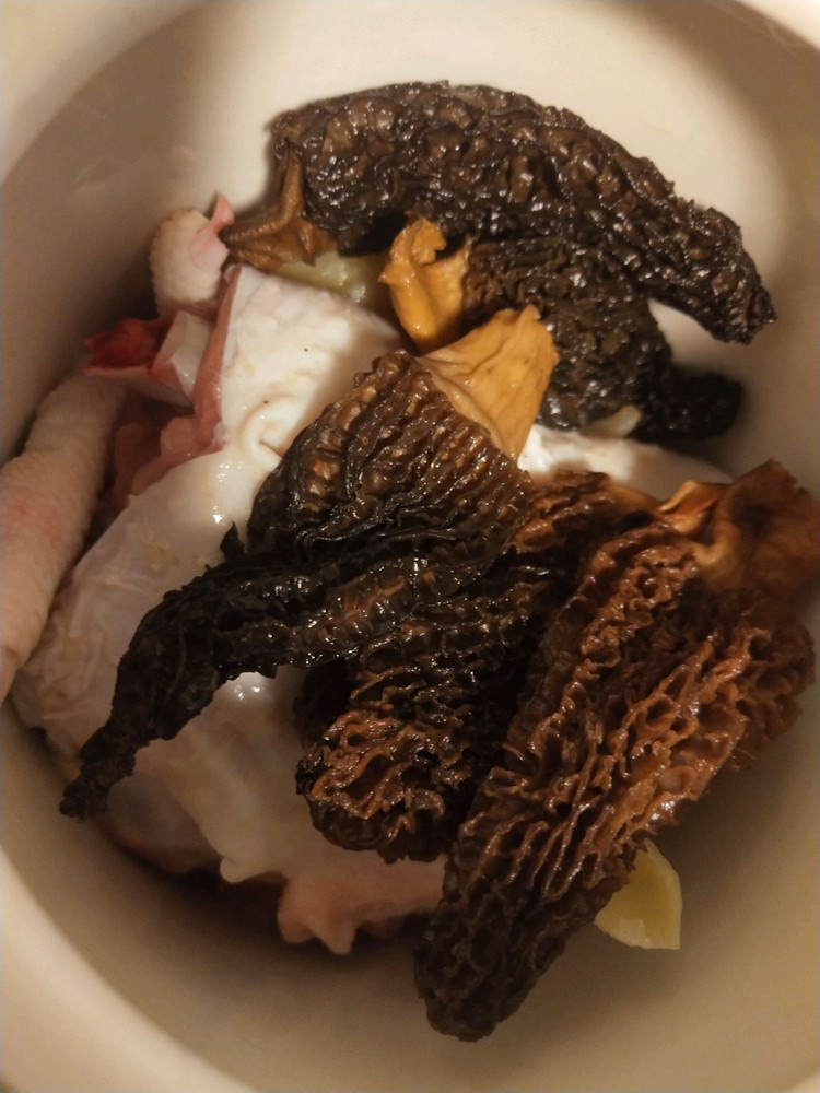鳕鱼胶羊肚菌鸡腿肉炖汤的做法