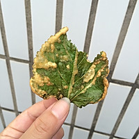 炸桑叶的做法图解4