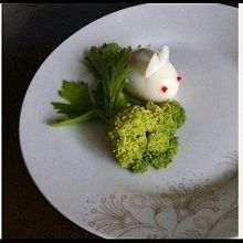 宝宝的最爱。兔子