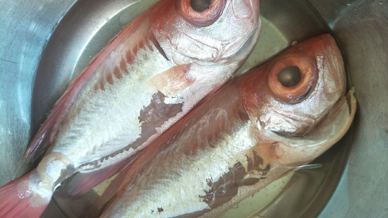 香烤大眼鱼