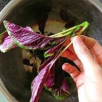 炒汉菜（红苋菜）的做法图解2