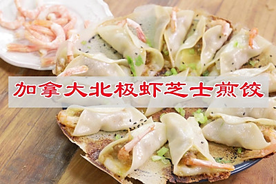煎饺这样吃更好吃芝士加拿大北极虾