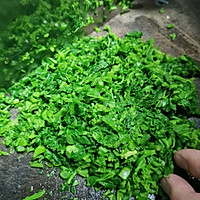 春味-桑叶饺#餐桌上的春日限定#的做法图解6