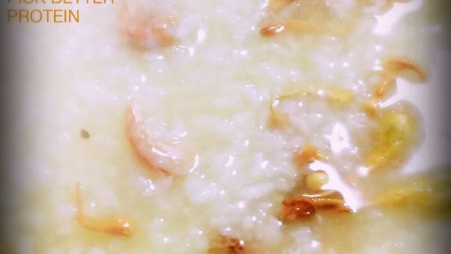 元气早餐--虫草花虾干大米粥的做法